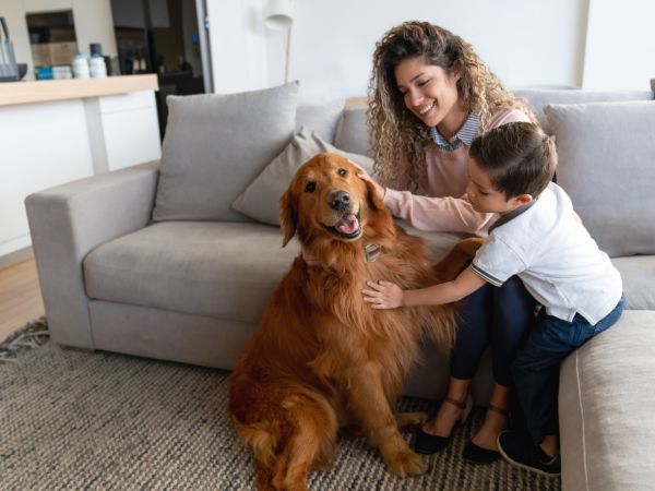 A woman and young boy smile while petting a happy Golden Retriever in a cozy living room.